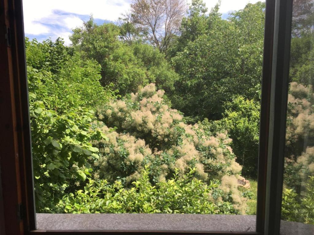 Budapest Garden Hostel Ngoại thất bức ảnh